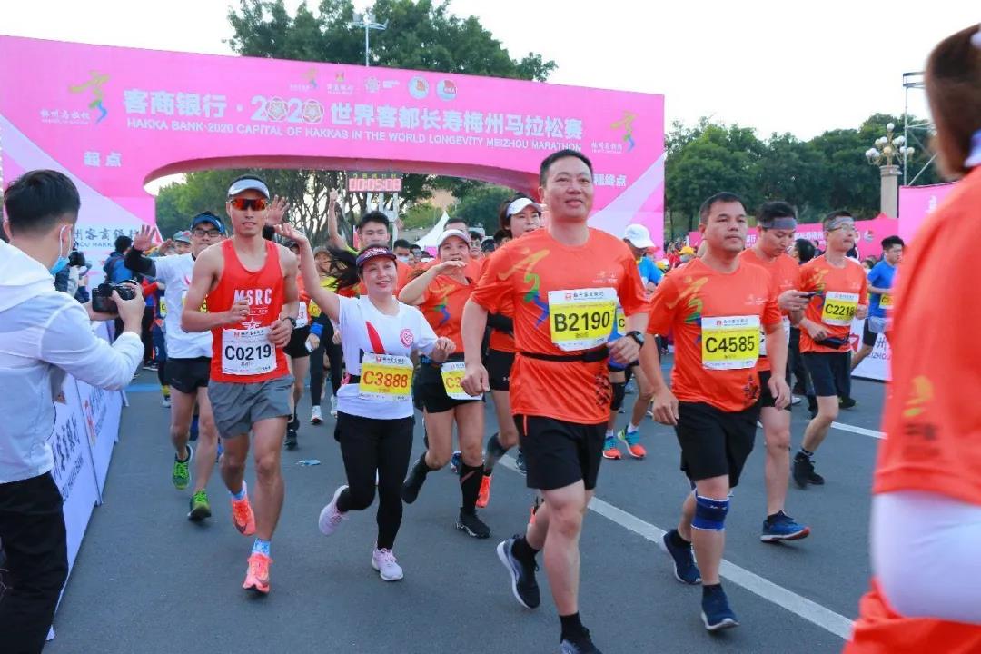 公海彩船6600(中国游)官方网站