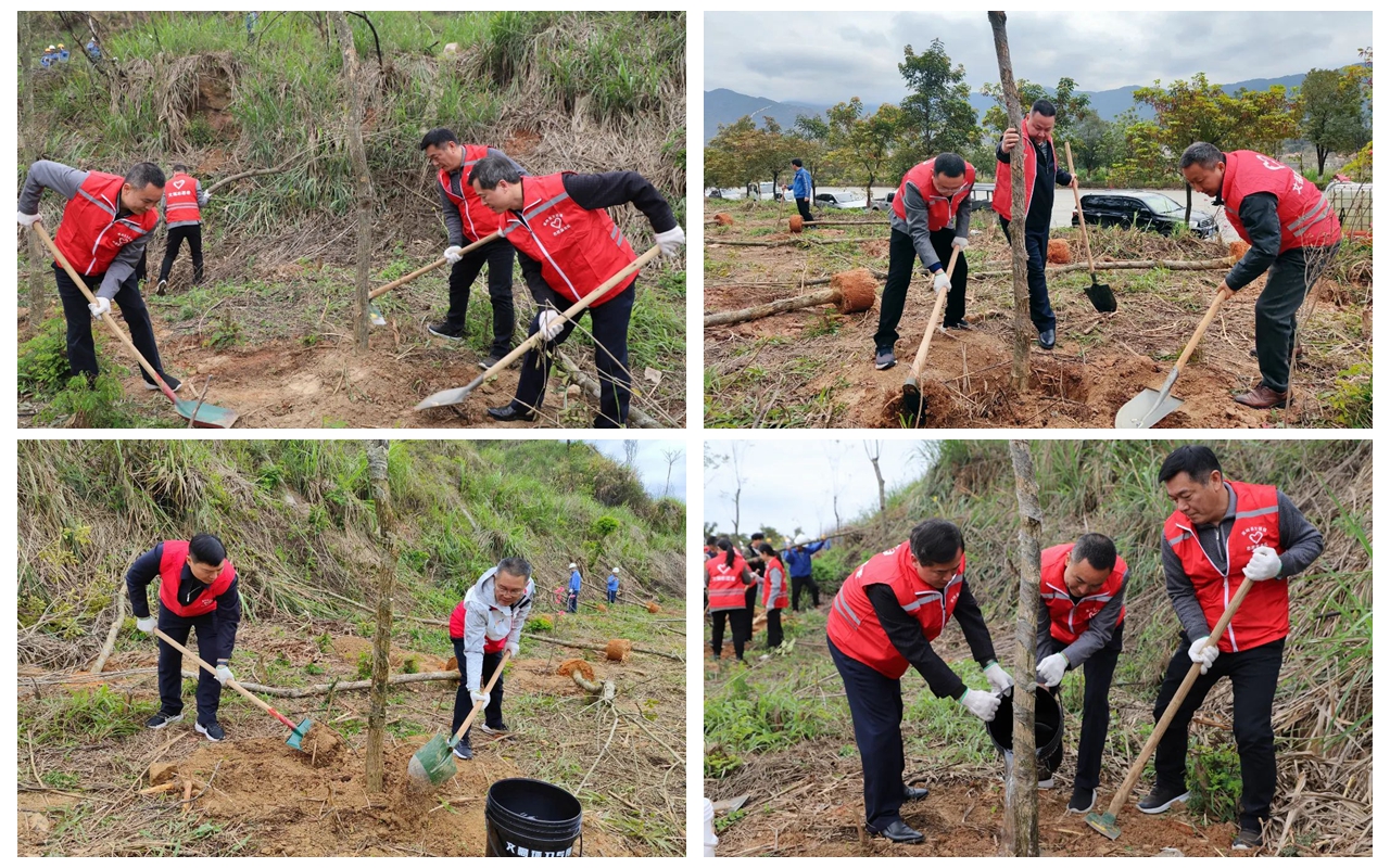 公海彩船6600(中国游)官方网站